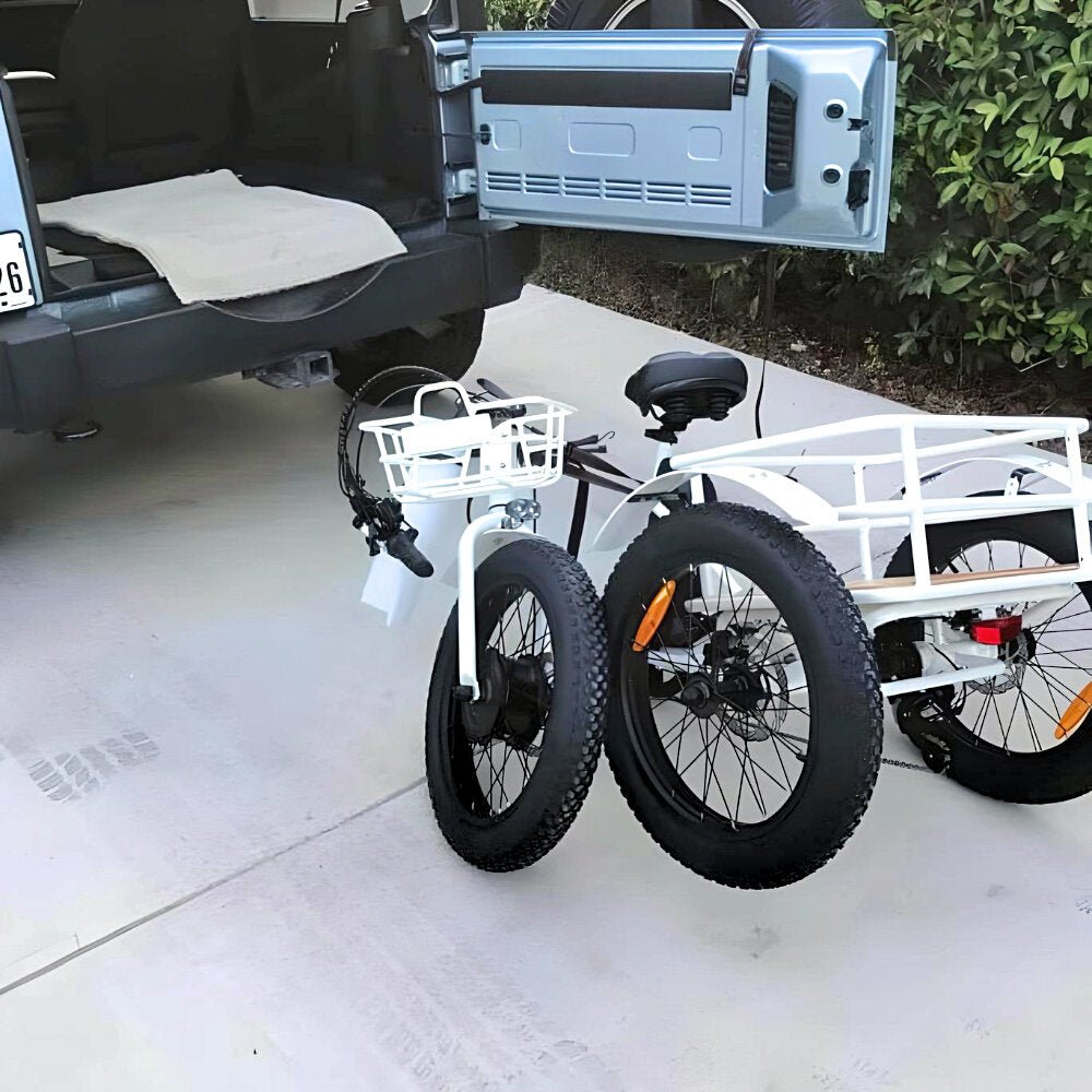 Trail Electric Trike