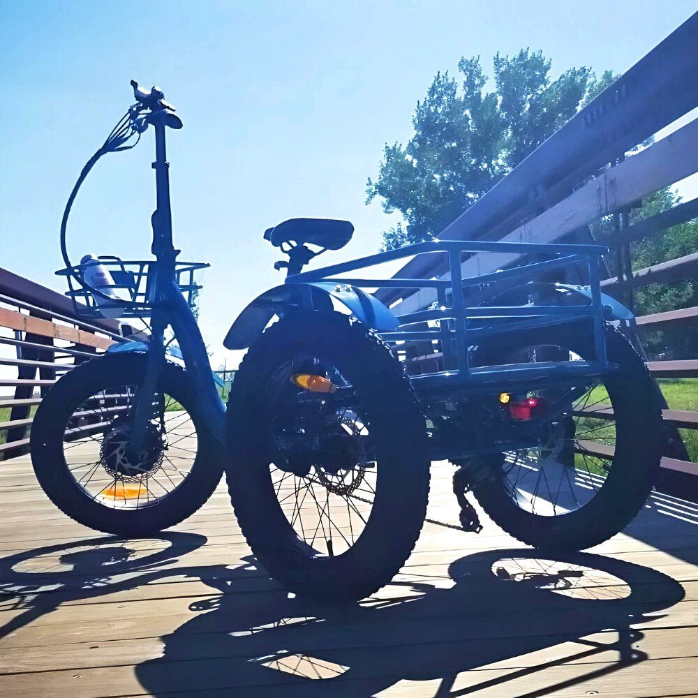 City Electronic Trike