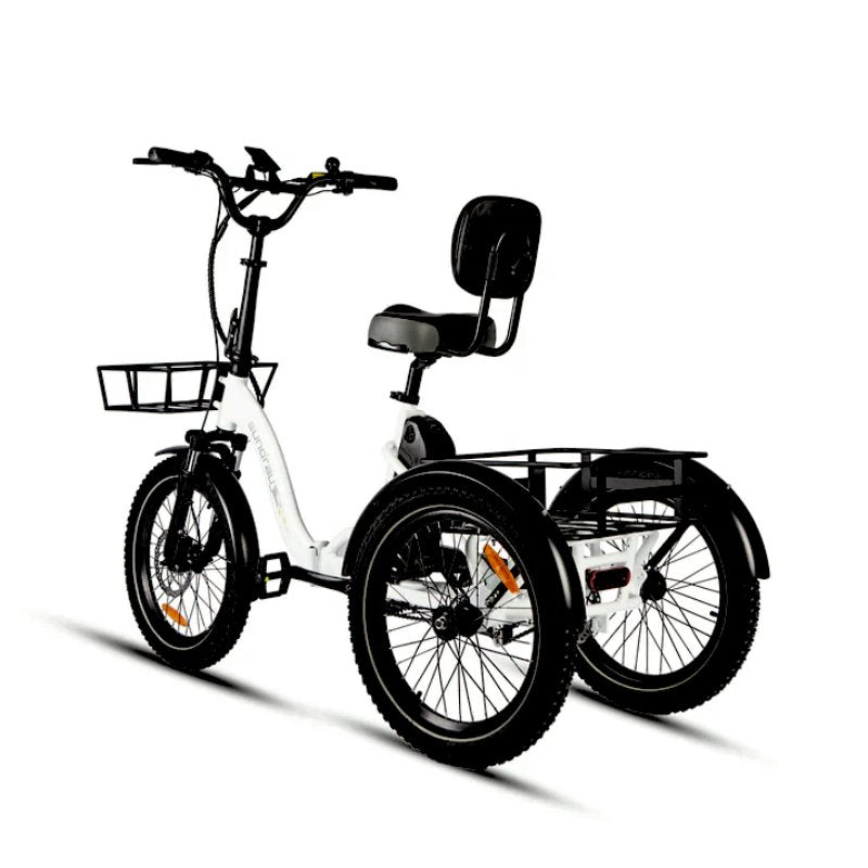 Freewheel: 18T single-speed freewheel