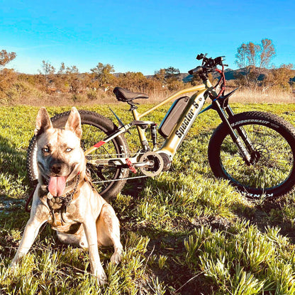 SPECTER S-17: Handlebar Height: 1130mm/44.5in