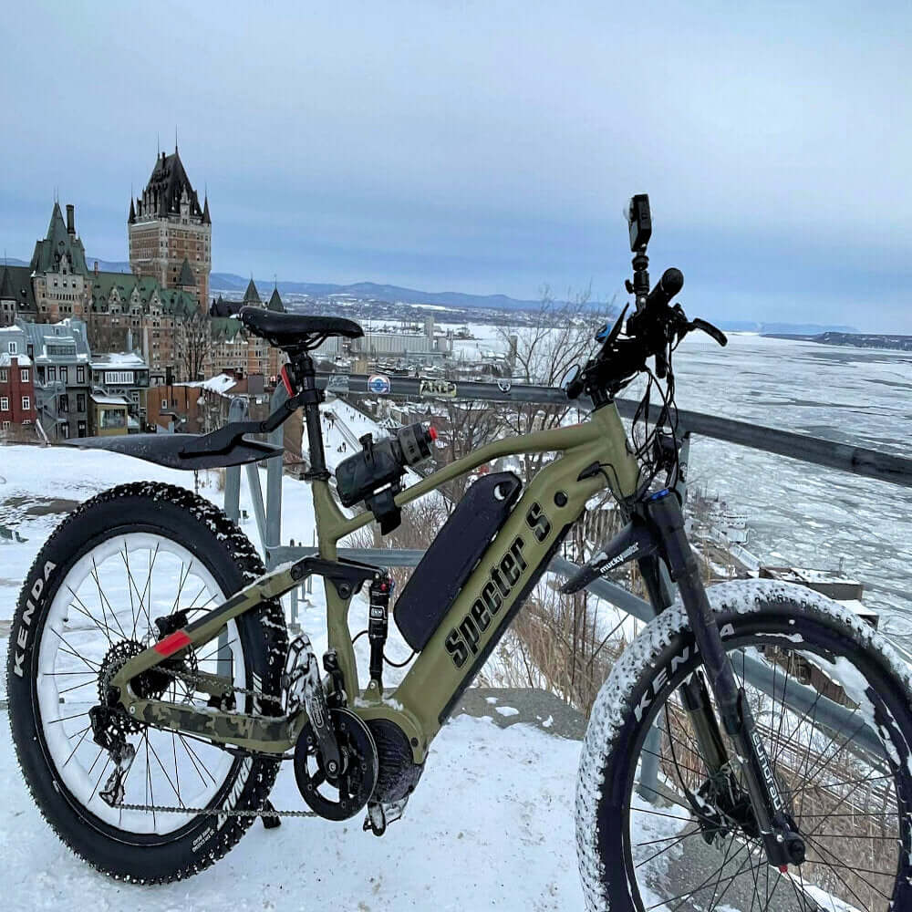 SPECTER S-19: Seat tube: 483mm/19in