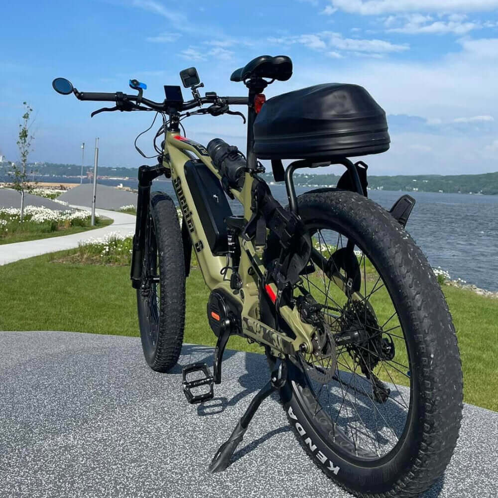 SPECTER S-19: Wheelbase: 334mm/52.5in