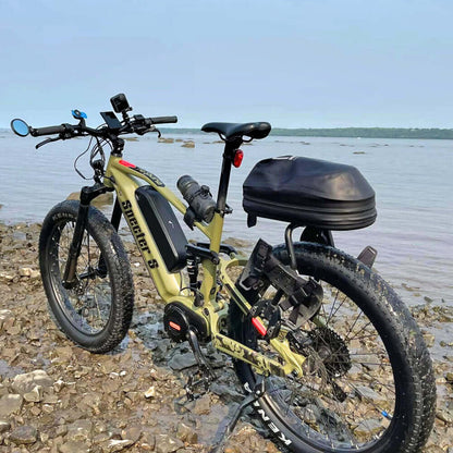 All-Seasons Elerctric Bike