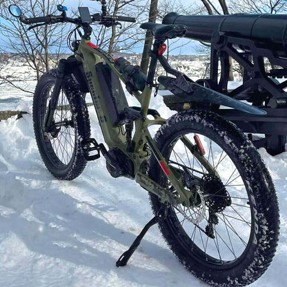 Winter and Snow E-Bike