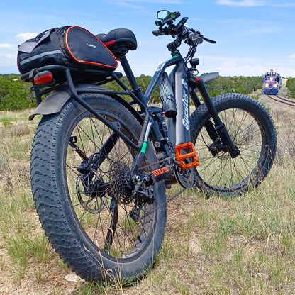 Display: DP C010.C8 (CAN protocol - Safari, Moon black)