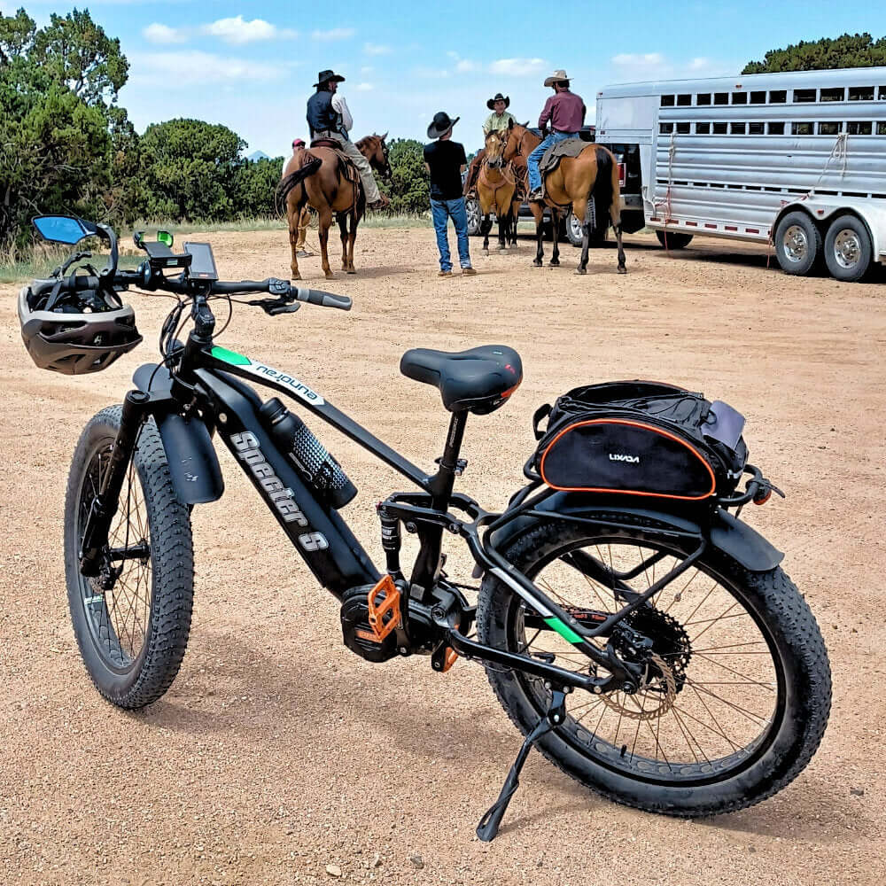 SPECTER S-17: Chain stay: 505mm/19.9in