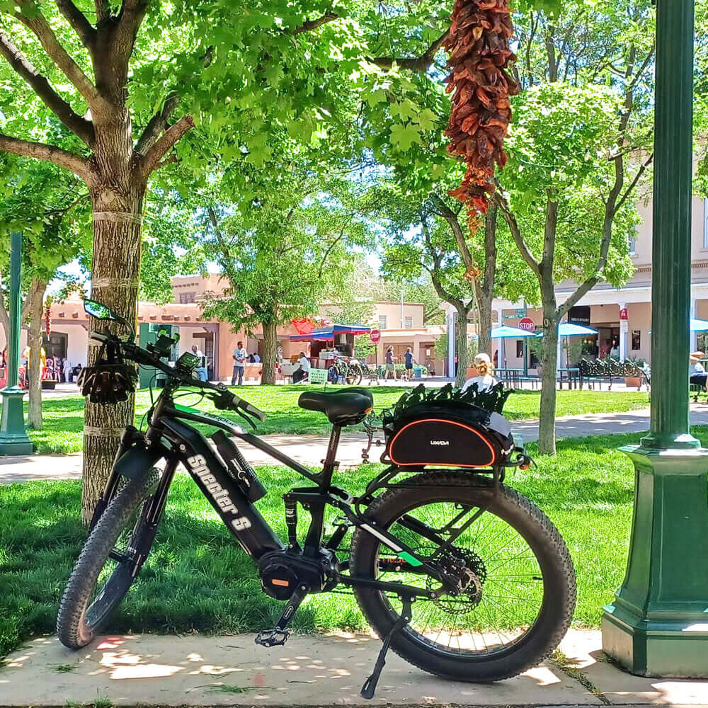 SPECTER S-19: Chain stay: 505mm/19.9in