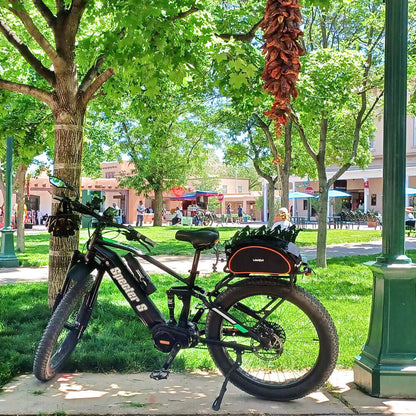 SPECTER S-19: Chain stay: 505mm/19.9in