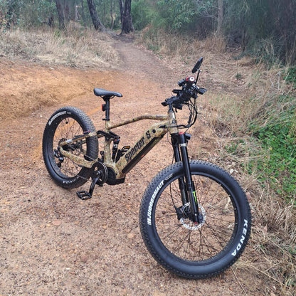 Mountain E-Bike