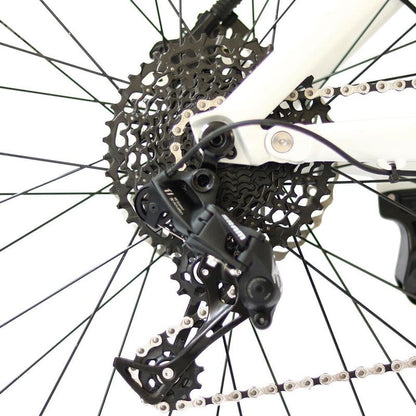 Number of Speeds: 1x11