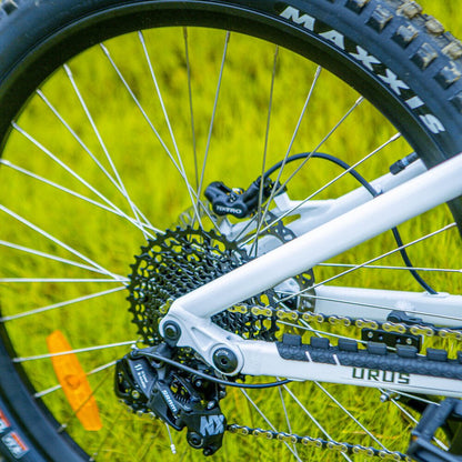 Brake Type: Hydraulic Disc Brakes