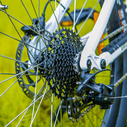 Rear Shock Travel: 45MM