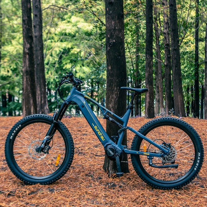 MOUNTAIN E-BIKE