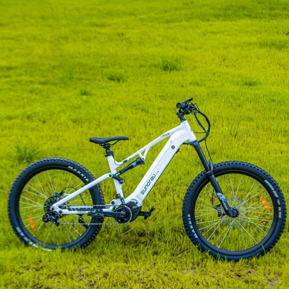 Tire Brand: MAXXIS MINION