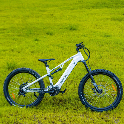 Tire Brand: MAXXIS MINION