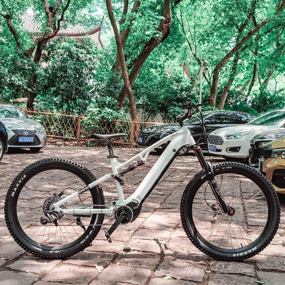 Fork Brand: Xfusionshox TRACE RB