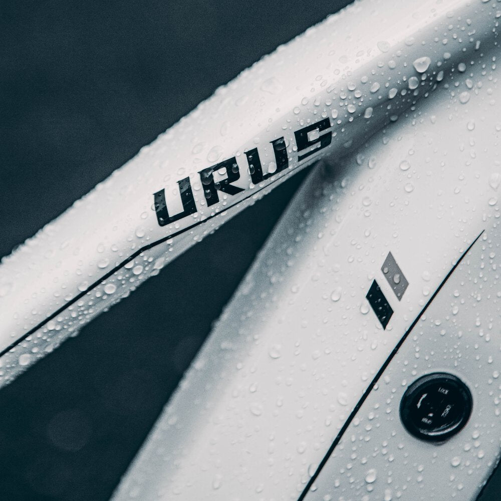 Fishing Electric Bike