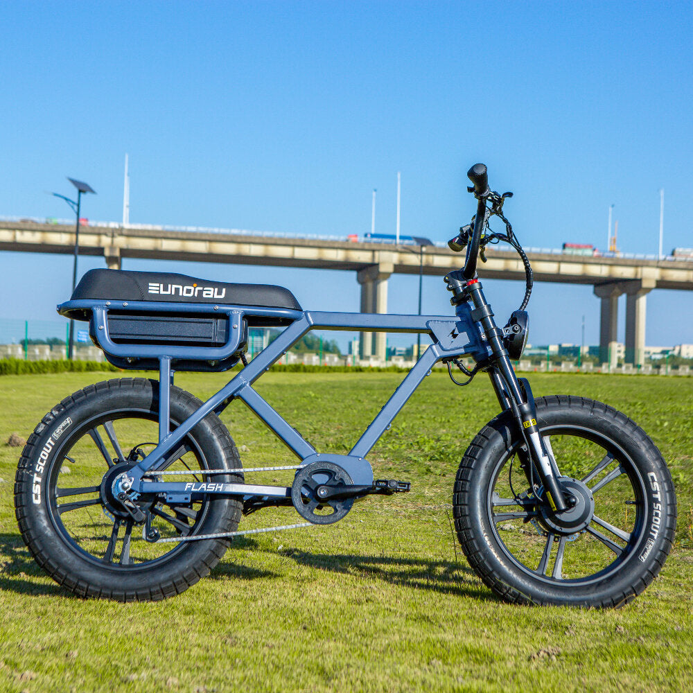 FLASH-Moped Rear/Dual/Mid-Drive Extreme-Torque Electric-Bike