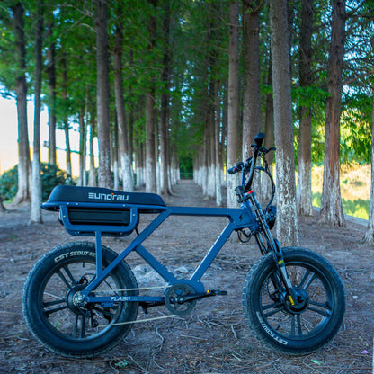 FLASH-Moped Rear/Dual/Mid-Drive Extreme-Torque Electric-Bike