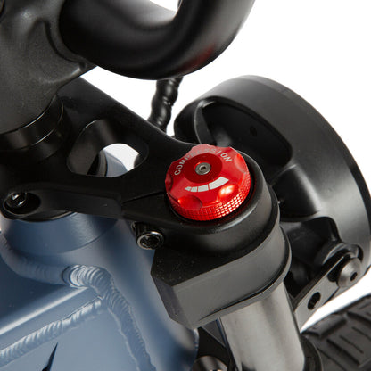 FLASH-Moped Rear/Dual/Mid-Drive Extreme-Torque Electric-Bike