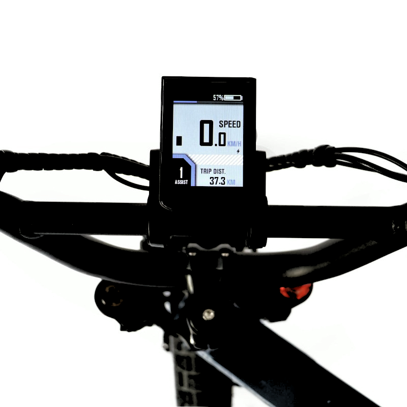 Close-up of an e-bike's digital display showing speed, trip distance, battery level, and pedal assist level for clear and easy monitoring during rides.