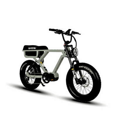 Front Angled View of the FLASH Moped 3 simultaneous e-Bike Battery 220 Miles Endurance