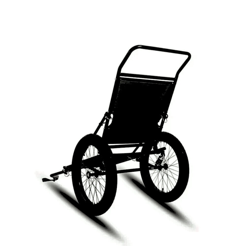 E-Bike Two Wheel Trailer Maximum Load: 200 lbs / 100 kg