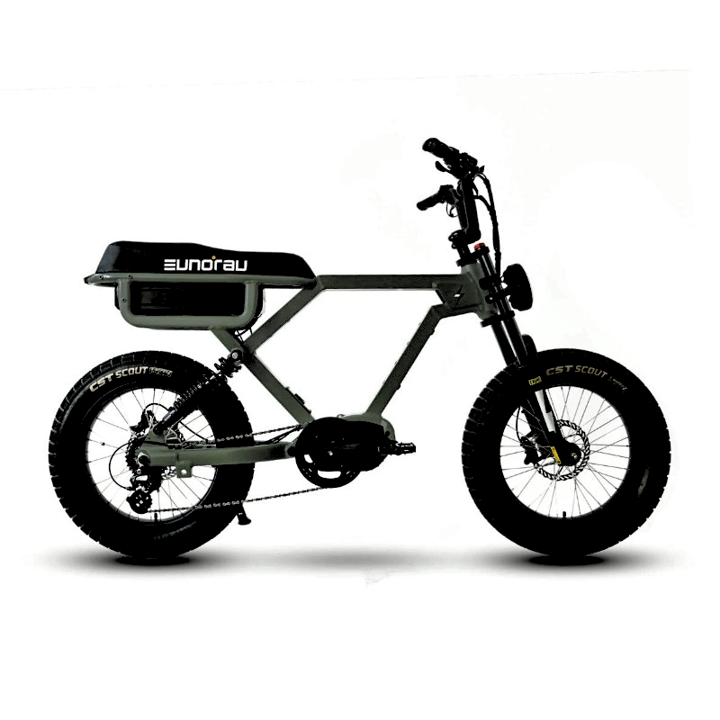 FLASH Moped 3 simultaneous eBike Battery 220 Miles Endurance