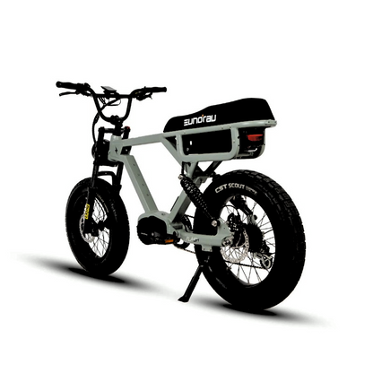 FLASH Moped 3 simultaneous eBike Battery 220 Miles Endurance