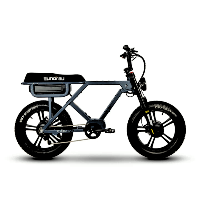 Side to Right View, the Lunar Dust 220 Nm Torque FLASH Moped 3 simultaneous eBike Battery 220 Miles Endurance