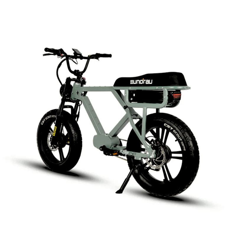 FLASH Moped 3 simultaneous eBike Battery 220 Miles Endurance