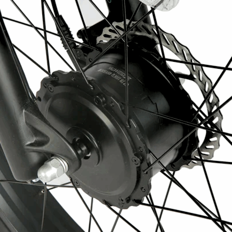 Close-up view of an e-bike rear wheel featuring a hub motor and disc brake system, with spokes and components visible, showcasing the mechanical details of the electric bike's drivetrain.