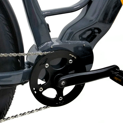 Side view of the META275 eBike crankset and pedal assembly.