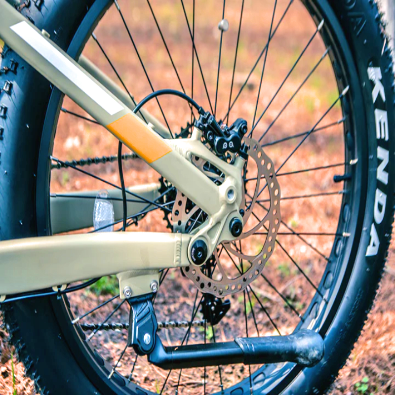 Close-up of the rear disc brake and wheel on the SPECTER-S eBike.