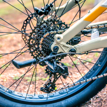 Close-up of the rear derailleur and cassette on the SPECTER-S eBike.