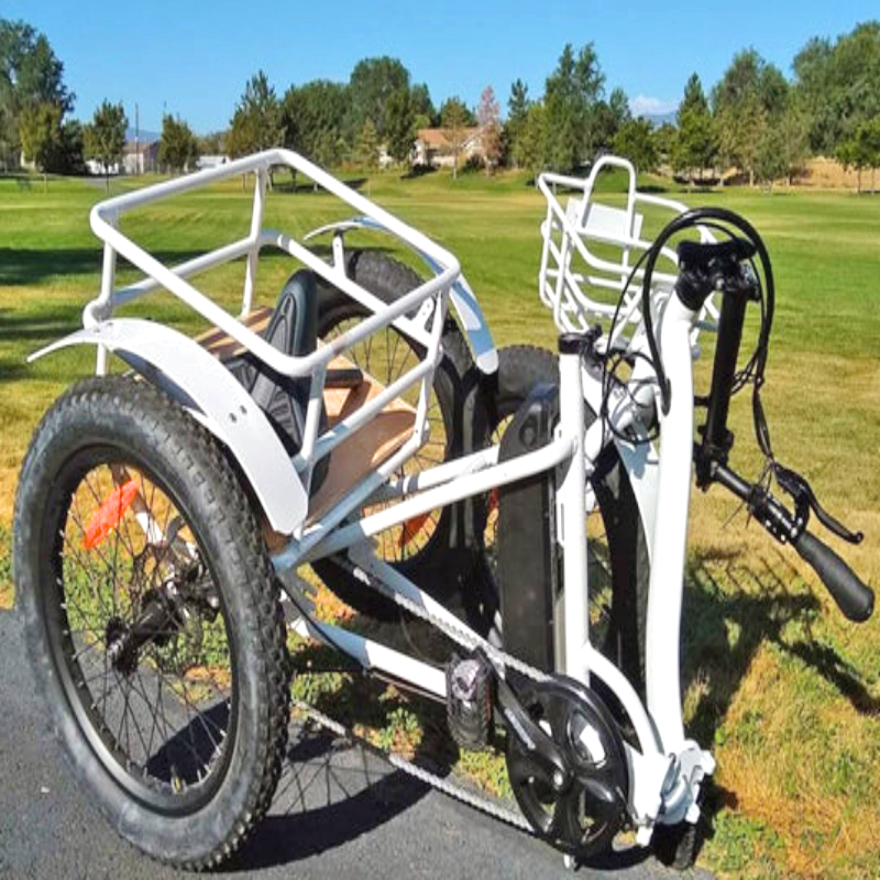 Side view of the eTRIKE parked and folded in an outdoor setting, showing the robust cargo space and thick tires.