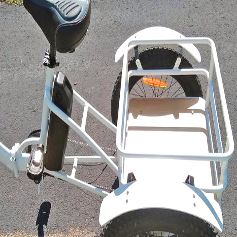 Side view of the rear cargo section of the eTrike with a sturdy frame for loading items.