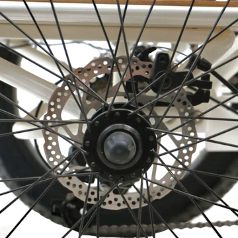 Close-up of the rear wheel hub with disc brakes, providing stopping power for the eTRIKE.