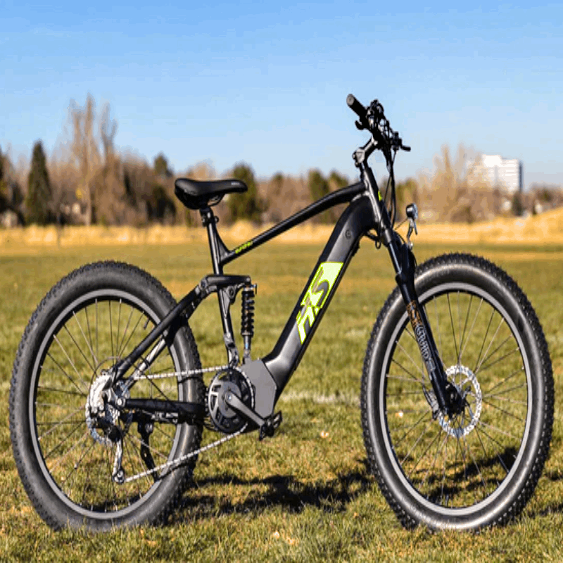 Side view of the FAT-HS eBike standing on grass in an open field, highlighting its fat tires, full suspension, and Bafang motor system.