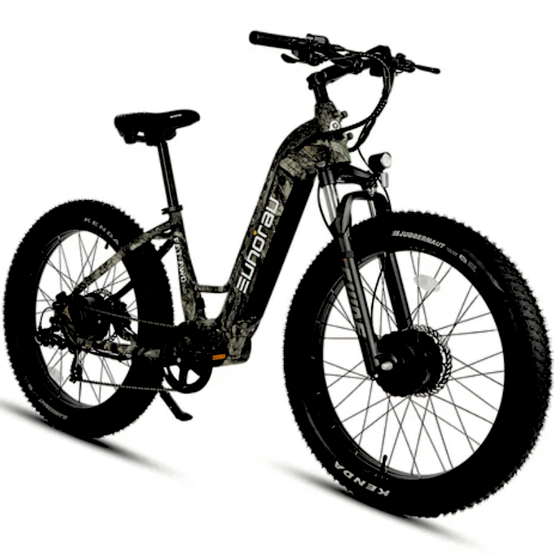 FAT-AWD E-Bike Dual Motor Long Range Step-Over