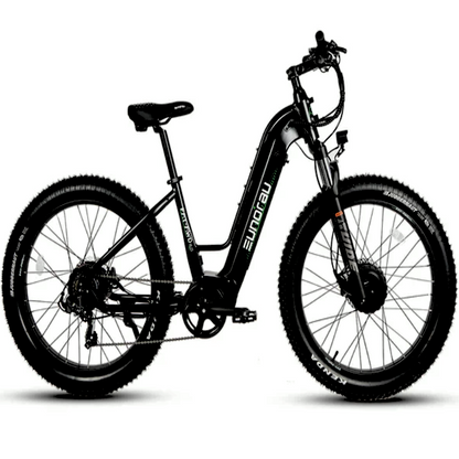 FAT-AWD E-Bike Dual Motor Long Range Step-Over