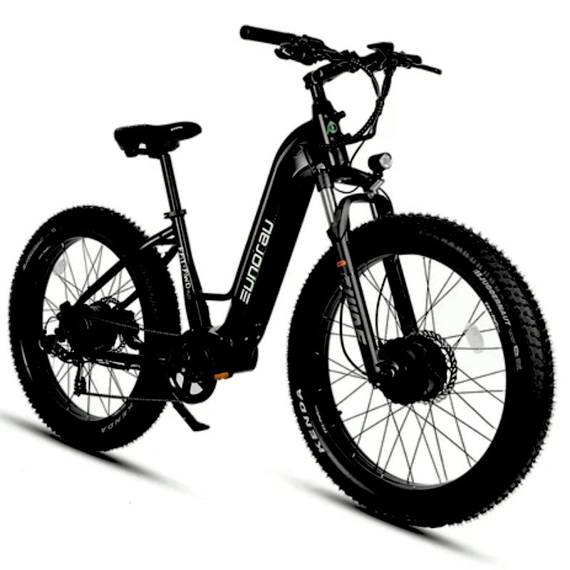 FAT-AWD E-Bike Dual Motor Long Range High Step-Thru Black