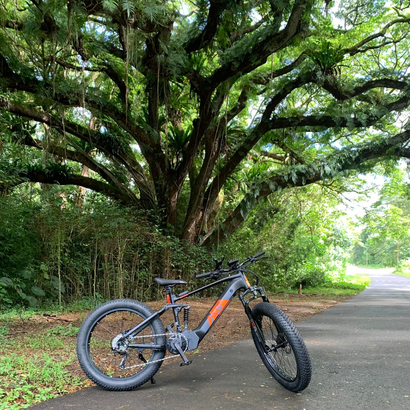 This features the EUNORAU FAT HS E-MTB, an electric mountain bike designed for challenging terrains. It highlights a sturdy frame, wide tires for stability, and full suspension for comfort on rough trails. The bike is well-suited for outdoor adventures, combining power and durability for an enhanced riding experience.